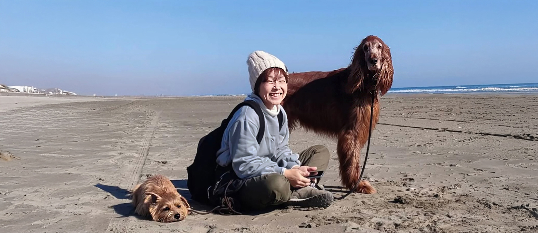 オヤツで釣らない「脳トレ」で
愛犬との絆を作ります。